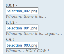 HalieCoo.png