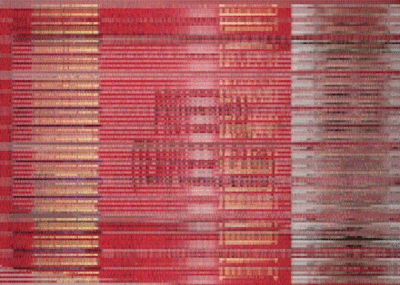 Training Cert [Induction [Company]][BACK].gif