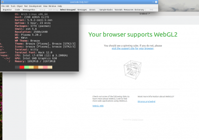browser_widget.png