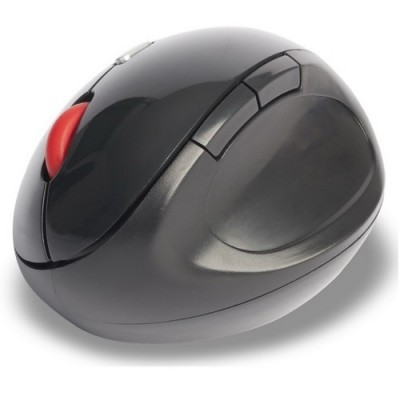 evo ergo mouse.jpeg