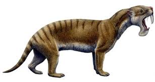 Thylacosmilus.jpg