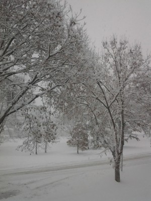 Minnesota winter.jpg