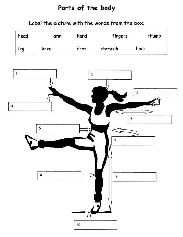 PartsOfTheBody2.jpg