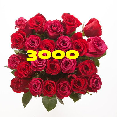 3000posts.jpg (78.17 KiB) Viewed 54270 times The 3000 posts bouquet. Take it when crossing the line.
