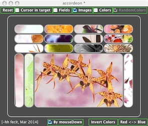 Accordeon using images