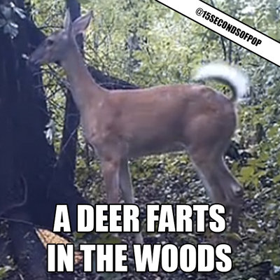 DEER.jpg